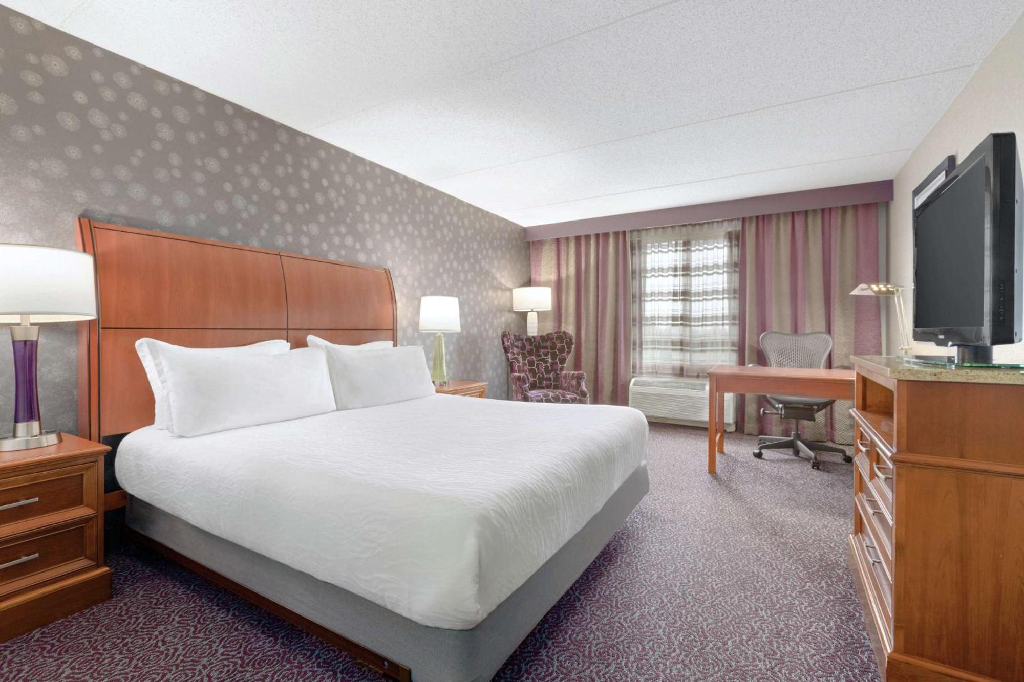 Hilton Garden Inn Springfield, Ma Eksteriør bilde